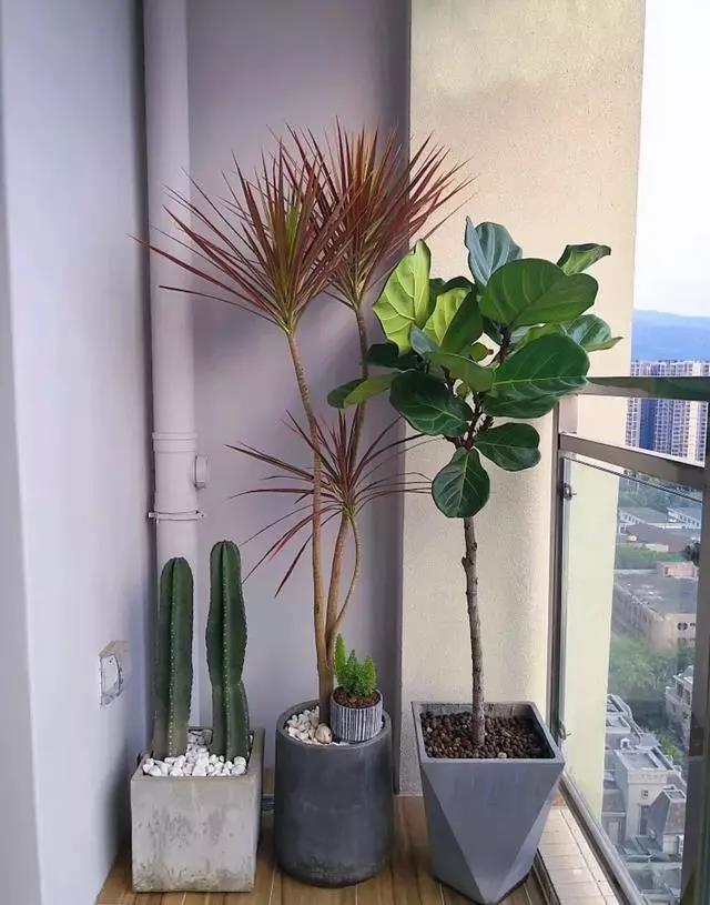 排水管道外露很丑?直接裹一圈麻繩還不到兩塊錢 - 后花園網文 - 家居新聞